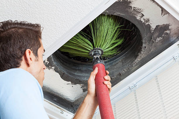 Best Professional Duct Cleaning Services  in Kissimmee, FL